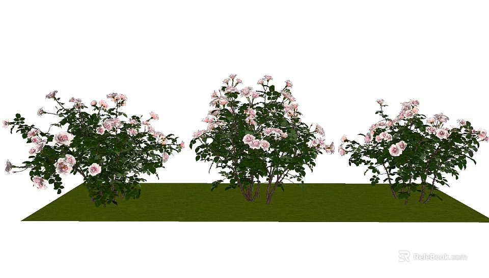 Lush Flower Bushes With Pink Blooms Growing On Green Grass 3d model 