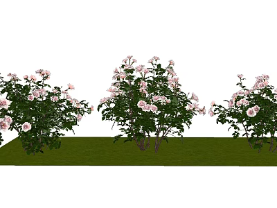 Lush Flower Bushes With Pink Blooms Growing On Green Grass 3d model