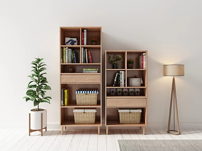 Wooden Bookcases With Multiple Shelves Books Potted Plants Storage Baskets And Floor Lamp 3d model