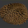 Ripe Brown Durian Fruit With Spiky Exterior And Fresh Tropical Appeal