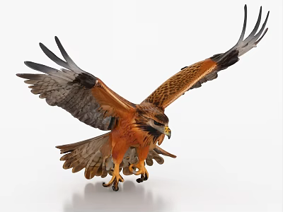 Majestic Eagle Flying with Spreading Wings and Orange Brown Feathers in Mid Air 3d model