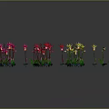 Colorful Potted Plants With Purple Red Yellow Pink Blue Flowers And Green Leaves