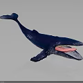Blue Whale Model With Open Mouth Red And White Interior On Gray Background 3d model