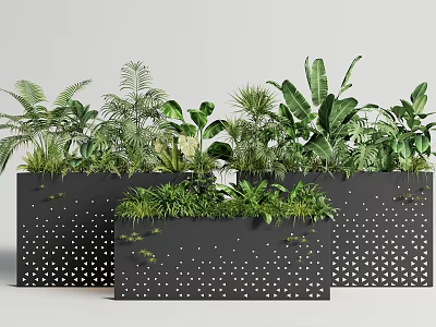 Bonsai Potted Plants In Black Pots With White Dots And Diverse Green Foliage 3d model