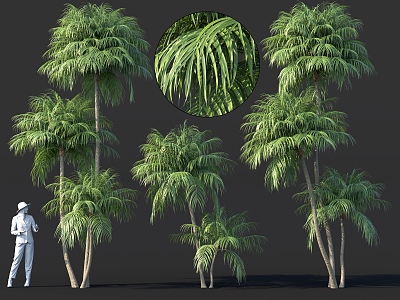 Palm Shrub Sargasso Potted Plant Bonsai Flower bed Tree pond Green plant cluster sketch model