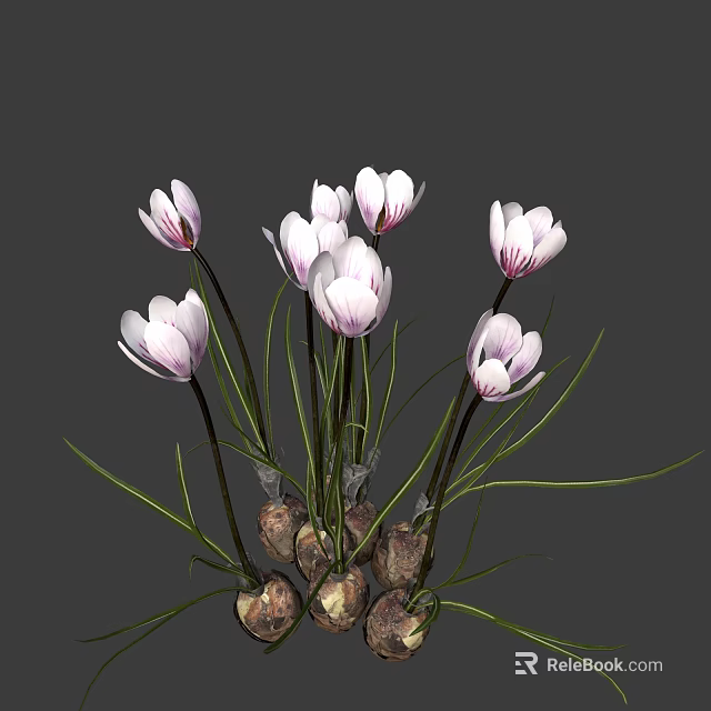 White Pink Striped Flowers With Green Stems Leaves And Bulbs Bunch 3d model 