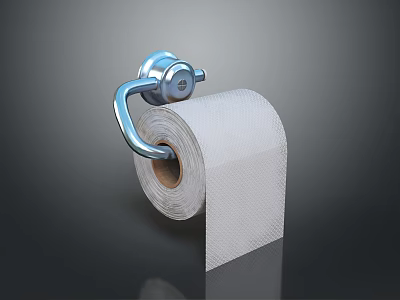 Essential Household Toilet Paper Roll with Sturdy Chrome Wall Mounted Holder for Bathroom Use 3d model