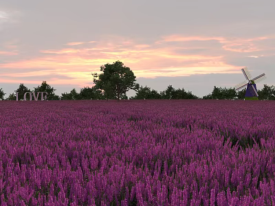 Scenic Lavender Field at Sunset with Pink Purple Sky Windmill LOVE Sign and Trees 3d model