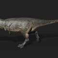 3D Model Tyrannosaurus Rex Reptile With Gray Skin Open Mouth Standing Pose And Black Background