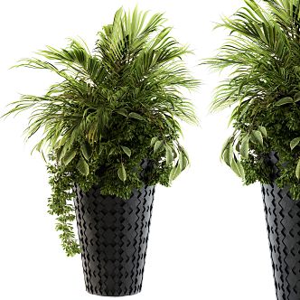 green plant ornaments potted plant 3d model