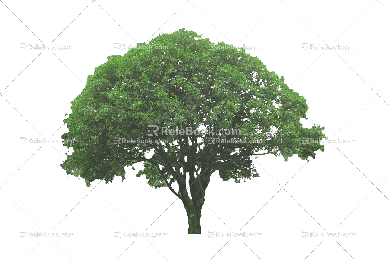 Tree 3d model