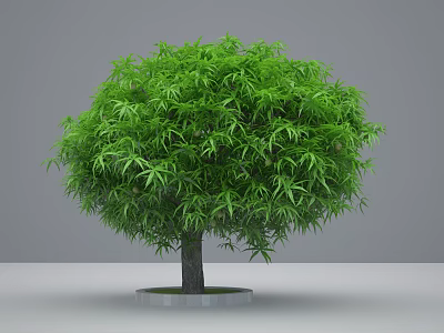Green Arbor With Dark Trunk Dense Foliage And Round Canopy On Circular Base 3d model