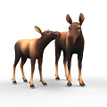 Two Brown Moose Adult and Baby Standing Together on White Background