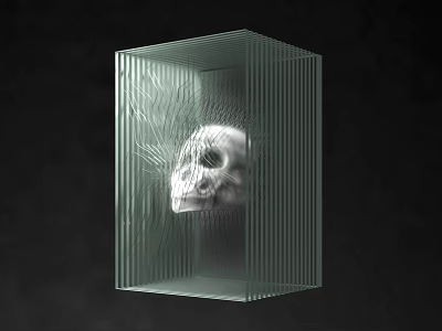 Decorative Ornament Set With Transparent Glass Cube White Skull Black Background And Light Shadow Effect 3d model