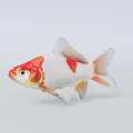 Red And White Goldfish Featuring Large Eyes And Fan Shaped Fins On Light Gray Background