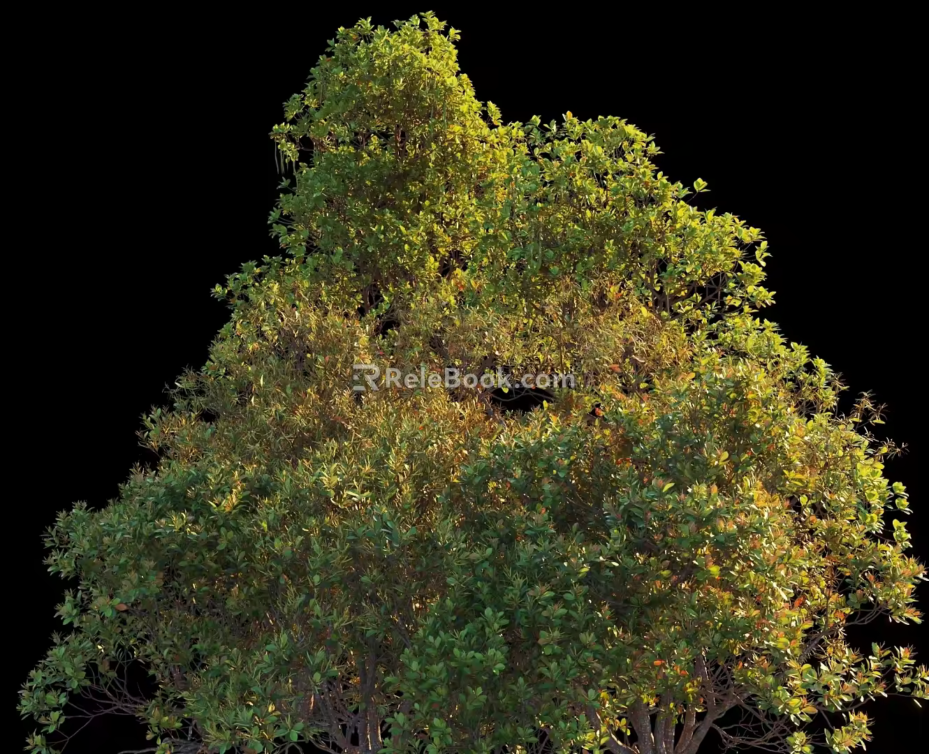 Landscape Shrubs Plant Combination Natural Landscape Big Tree 3d model