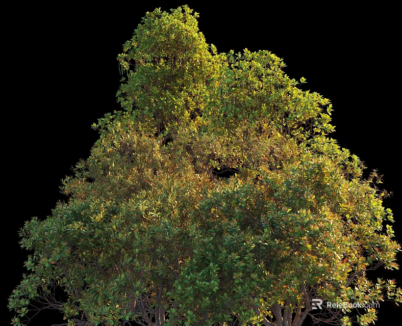 Tall Arbor With Lush Green Foliage Bathed In Sunlight And Natural Canopy 3d model 