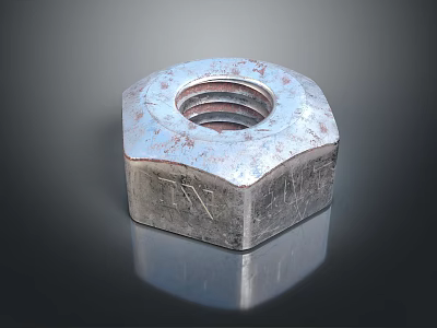 Hexagonal Metal Nut With Rusty Surface And Threaded Hole On Reflective Background 3d model