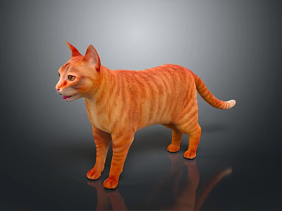 Orange Striped Cat Standing In 3D Render With Gray Background And Reflective Surface 3d model