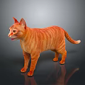 Orange Striped Cat Standing In 3D Render With Gray Background And Reflective Surface 3d model