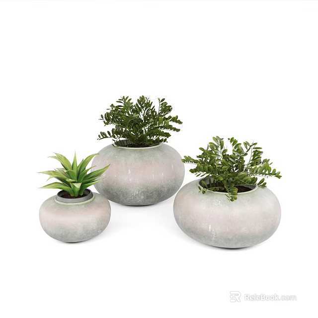 Three Bonsai Potted Plants in Light Gray Round Pots with Green Foliage 3d model 