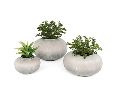 Three Bonsai Potted Plants in Light Gray Round Pots with Green Foliage 3d model