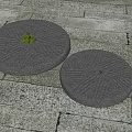 Two Traditional Stone Millstones on Textured Stone Pavement with Small Green Plant