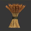 Golden Wheat Ears Bunch Tied With Green String On Dark Background