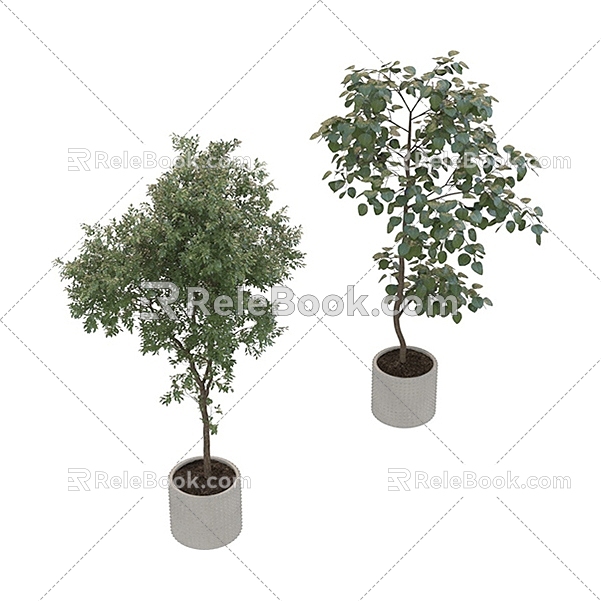 Modern potted green plant potted plant bonsai plant combination 3D model 060 3d model