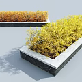 Vibrant Yellow and Orange Shrubs Planted in Rectangular Stone Planters with Light Background Shadow 3d model