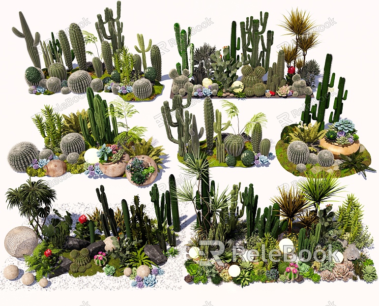 cactus combination succulent plant cactus landscape plant green plant potted garden indoor plant flowers and plants combination model