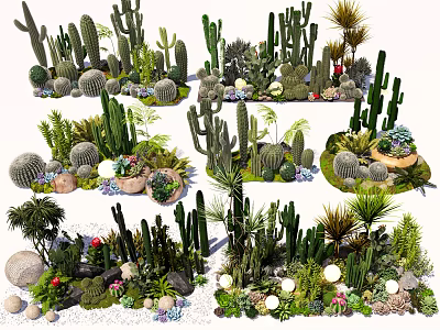Indoor Landscape with Various Cacti Succulents and Decorative Potted Plants Arrangement 3d model