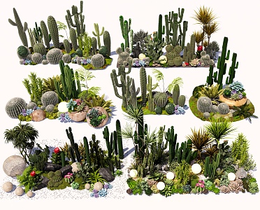 cactus combination succulent plant cactus landscape plant green plant potted garden indoor plant flowers and plants combination 3d model