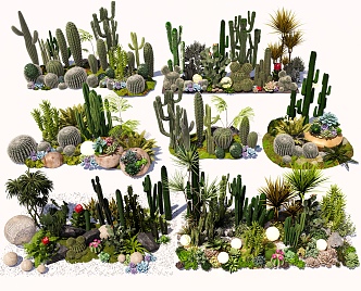 cactus combination succulent plant cactus landscape plant green plant potted garden indoor plant flowers and plants combination 3d model