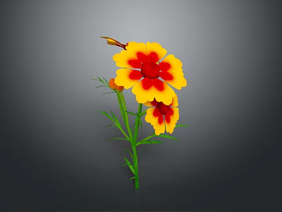 Vibrant Yellow and Red Flower with Green Stems and Leaves Against Gray Background 3d model