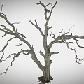 Rough Wooden Stone Dry Tree Trunk With Leafless Branches And Natural Texture 3d model