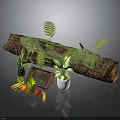 Decorative Wooden Log With Moss Ferns Fruits Wooden Tray And White Pot Plant
