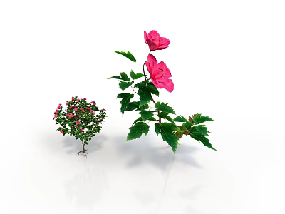 Small And Tall Plants With Pink Flowers Green Leaves And Visible Roots 3d model