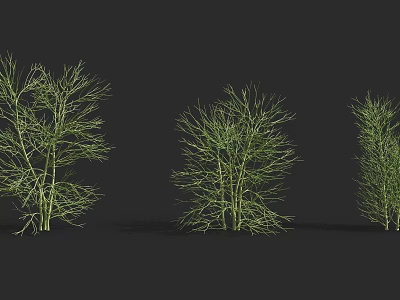 Modern shrubs 3d model Modern shrubs 3d model