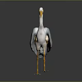 White and Grey Heron Standing with Long Yellow Beak and Yellow Legs on Reflective Surface