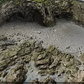 Rocky Coastal Terrain Featuring Cave Moss Covered Stone Walls Sandy Ground And Pebbles
