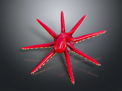 Vibrant Red Starfish With Long Yellow Tipped Arms On Dark Background 3d model