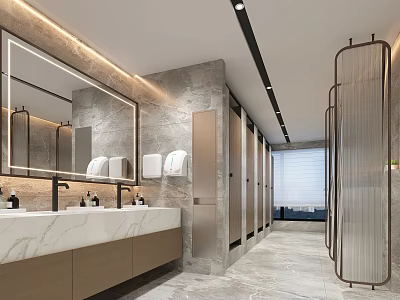 Modern Public Toilet Shopping Mall Toilet Hotel Toilet Restaurant Toilet 3d model