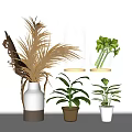Elegant Vase And Flower Arrangement With White Brown Glass Vases And Green Plants