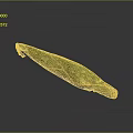 Fresh Healthy Green And Red Striped Long Vegetable With Textured Surface