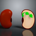 Whole and Split Red Bean Showing Germinating Seedling with Green Leaves in Cross Section