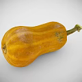 Fresh Yellow Squash with Green Stem and Natural Surface Texture on Gray Background