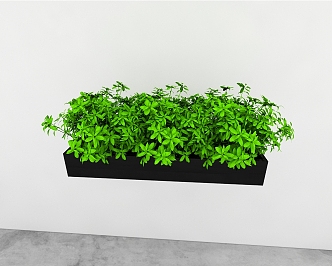 green plant 3d model