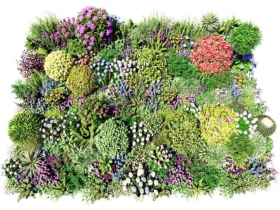 Flower border plant group flower and grass mirror plant combination flower and flower mirror flower and grass flower cover flower and bush ball model