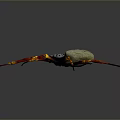 Unique Spider With White Body Skull Pattern And Red Yellow Striped Legs On Black Background